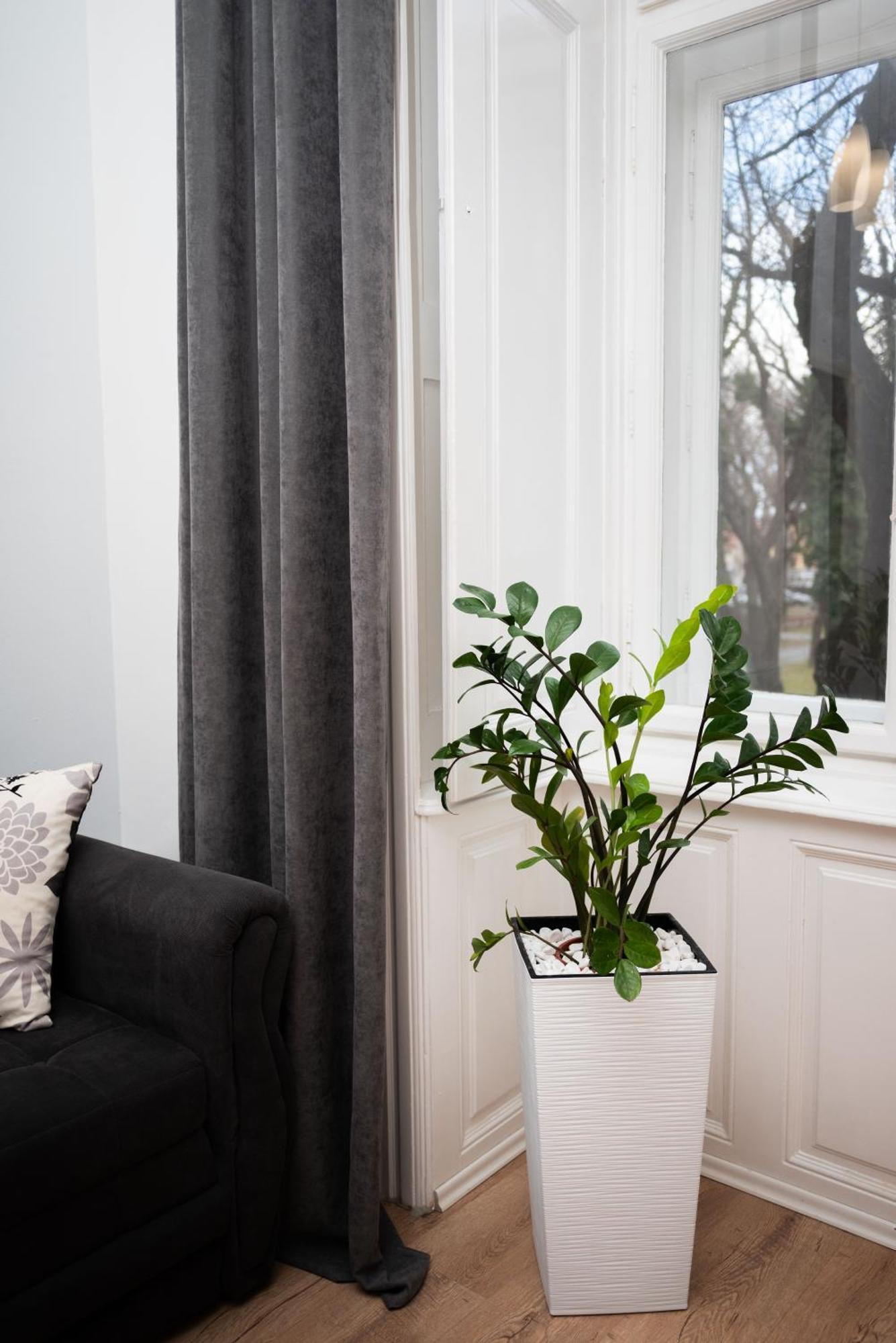 Apartment Hygge Szabadka Kültér fotó